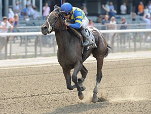 Emma's Encore wins the 2012 Victory Ride.