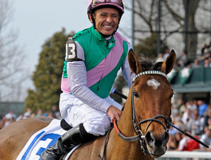 Emollient  wins the 2013 Ashland Stakes.