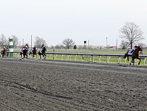 Emollient  wins the 2013 Ashland Stakes.