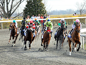Emollient  wins the 2013 Ashland Stakes.