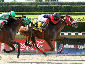 Empire Builder wins the 2012 Mambo Meister.