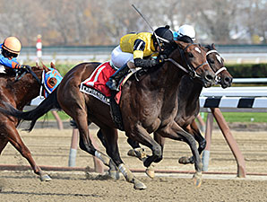 Empire Dreams wins the 2013 New York Stallion Series - Great White Way.