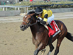 Empire Dreams wins the 2013 New York Stallion Series - Great White Way.