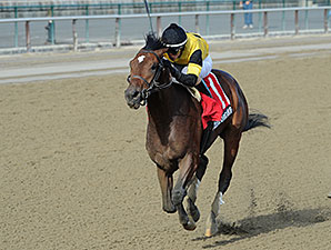 Empire Dreams wins the 2013 New York Stallion Series - Great White Way.