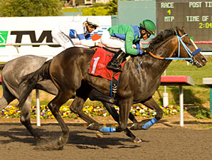 Empire Way Maiden Win