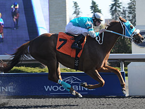 Essence Hit Man wins the 2012 Jacques Cartier Stakes.
