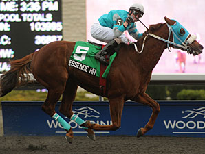 Essence Hit Man wins the 2011 Kennedy Road.