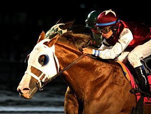 Etched wins the 2009 Meadowlands Cup.