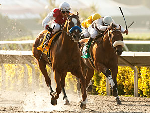 Euroears wins the 2011 Bing Crosby.