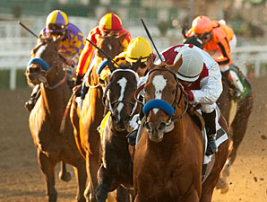 Euroears wins the 2011 Palos Verdes.
