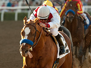 Euroears wins the 2011 Palos Verdes.