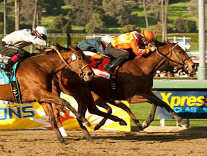 Evening Jewel wins the 2011 Sunshine Millions Distaff.