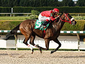 Evolution Rocks wins the 2014 Thrillin Discovery Handicap.
