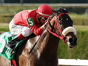 Evolution Rocks wins the 2014 Thrillin Discovery Handicap.