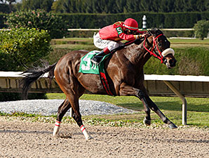 Evolution Rocks wins the 2014 Thrillin Discovery Handicap.