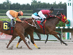 Exclusively Maria wins the 2011 Cassidy Stakes.