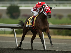 Executive Allure wins the 2013 Fanfreluche Stakes.