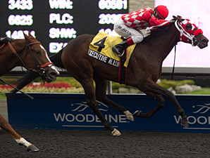 Executive Allure wins the 2013 Franfreluche Stakes.