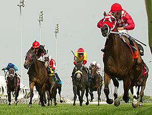 Executive Allure wins the 2014 Passing Mood Stakes.