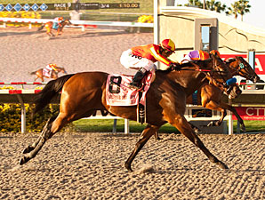 Executiveprivilege wins the 2012 Del Mar Debutante.