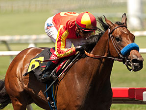 Executiveprivilege wins the 2012 Landaluce.