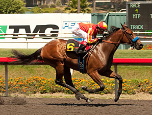 Executiveprivilege wins the 2012 Landaluce.