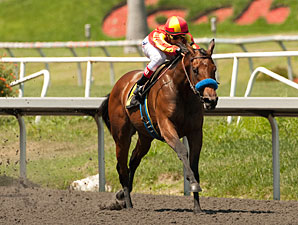 Executiveprivilege wins the 2012 Landaluce.