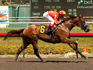 Executiveprivilege wins the 2012 Landaluce.