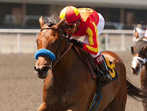 Executiveprivilege wins the 2012 Landaluce.