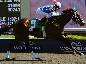 Exhi wins the 2010 Marine Stakes.