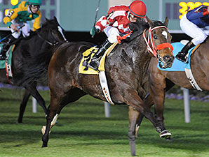 Expect Royalty wins the 2015 San Jacinto Stakes.