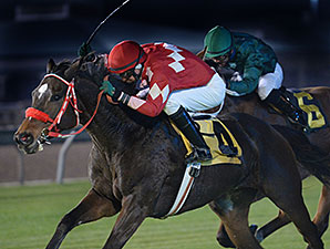 Expect Royalty wins the 2015 San Jacinto Stakes.