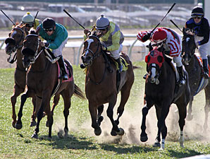 Extravaganza (center, yellow and gray silks) wins the 2013 Happy Ticket.