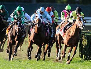 Eye of Taurus wins the 2010 Athenia.