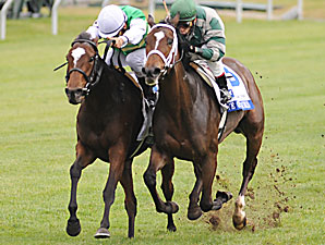 Eye of Taurus (right) takes the 2nd division of the 2009 Pin Oak Valley View.