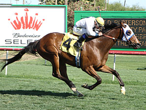F. D. Icy wins the Dwight D Patterson Handicap.
