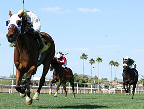 F. D. Icy wins the Dwight D Patterson Handicap.