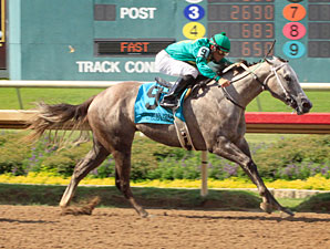 Falling Star wins the 2012 TTA Sales Futurity.