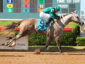 Falling Star wins the 2012 TTA Sales Futurity.