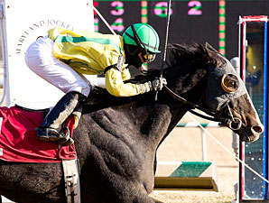 Fascinatin' Rhythm wins the 2011 Conniver Stakes.