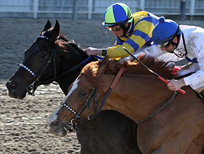 Fast Alex wins the 2011 Tenacious Handicap.