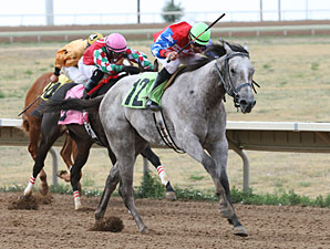 Fast But Furious wins the CTBA Futurity.