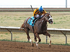 Fast Puff wins the 2013 CTBA Lassie Stakes.