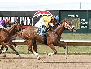 Fast Puff wins the 2014 Ingrid Knotts Stakes.