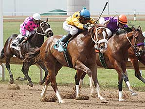 Fast Puff wins the 2014 Ingrid Knotts Stakes.