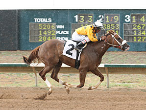 Fast Puff wins the 2013 Silver Cup Futurity Filly Division.