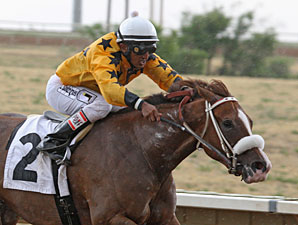 Fast Puff wins the 2013 Silver Cup Futurity Filly Division.