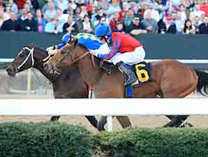 Fastestwhogetspaid wins the 2012 Gazebo Stakes.