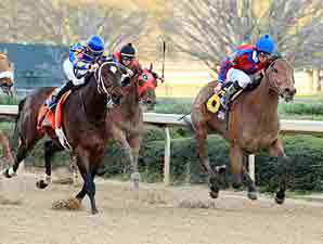Fastestwhogetspaid wins the 2012 Gazebo Stakes.