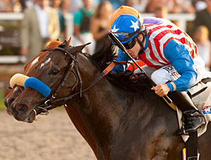 Fed Biz wins the 2012 El Cajon.